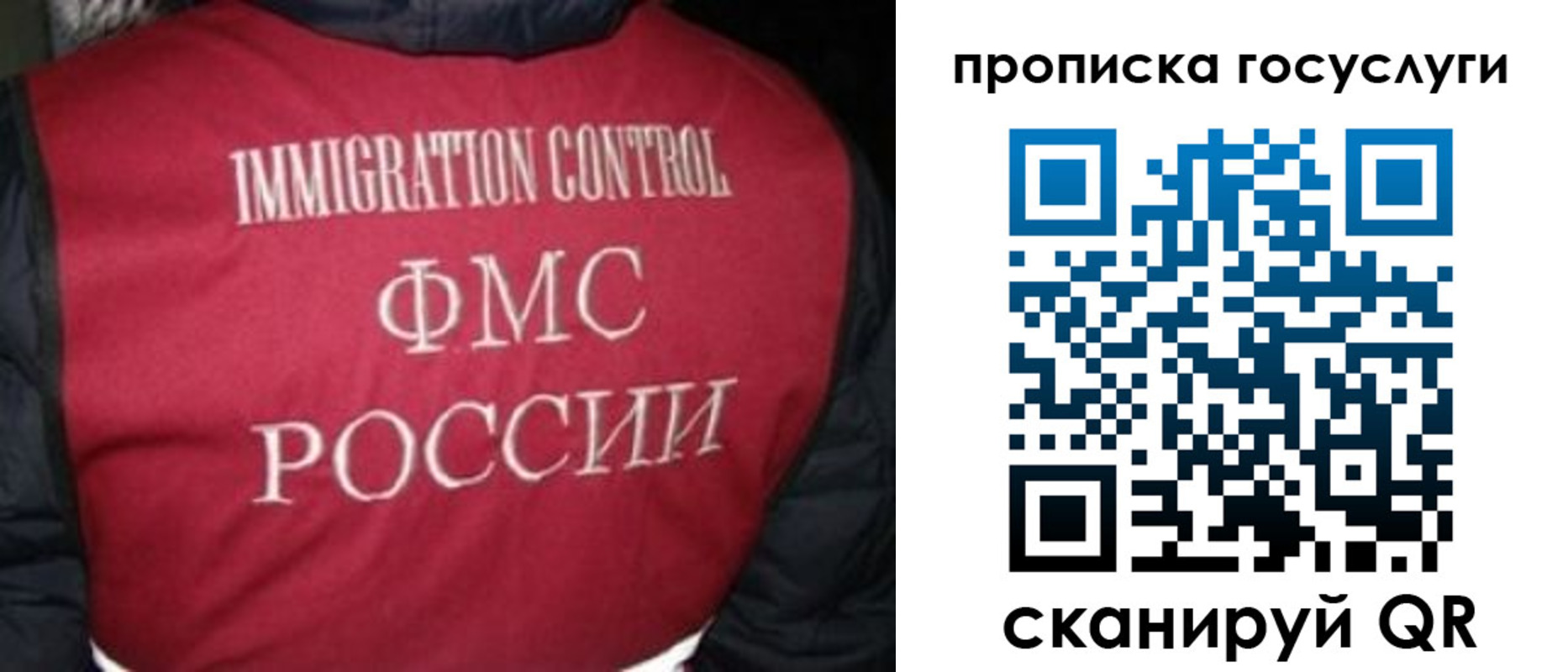 прописка ребенка в Фрязино